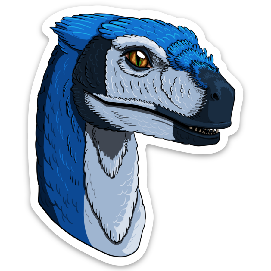 Sticker Bluejay Raptor 3"