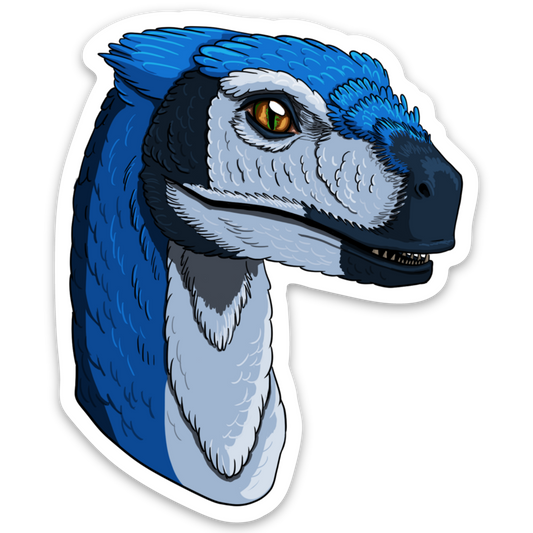 Sticker Bluejay Raptor 3"