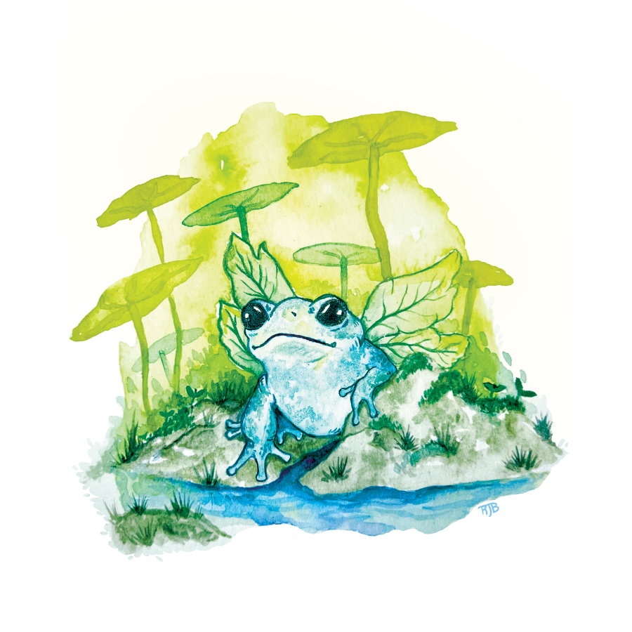 Linen Fairy Frog Print